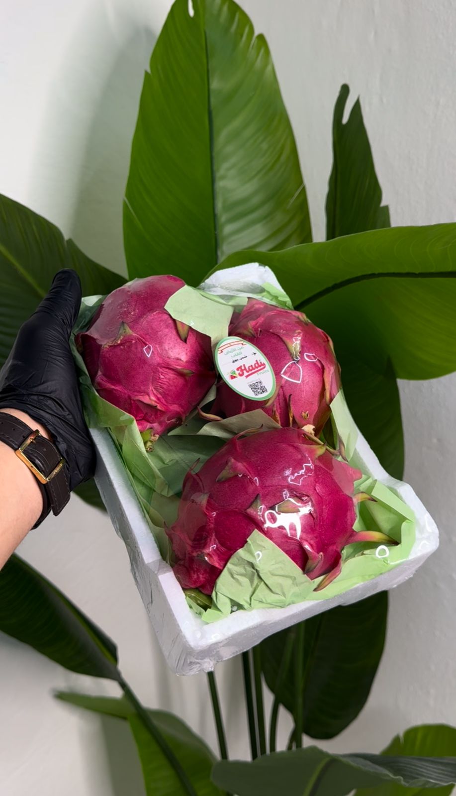 Fresh Fruit 4